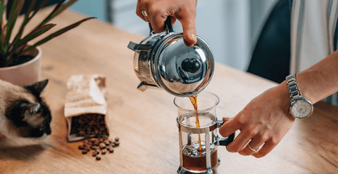 French Press Kaffee: Anleitung, Rezept und typische Fehler