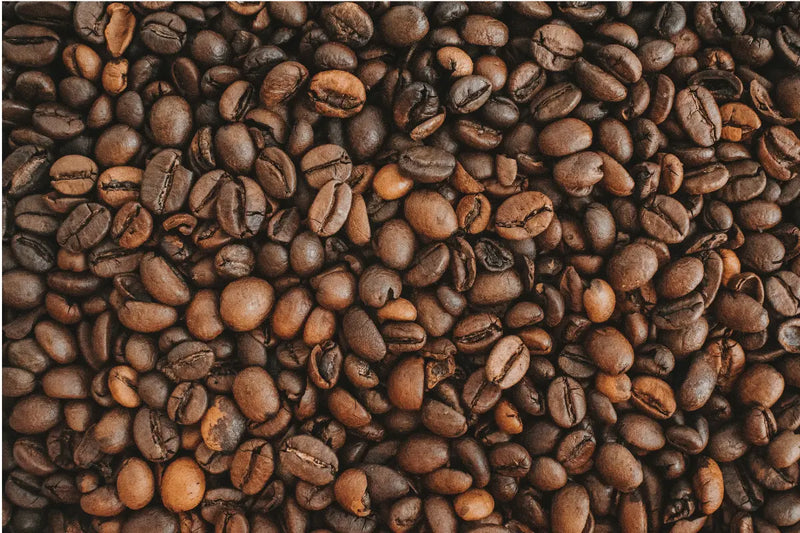 Kaffee richtig lagern: So bleiben Kaffeebohnen länger aromatisch